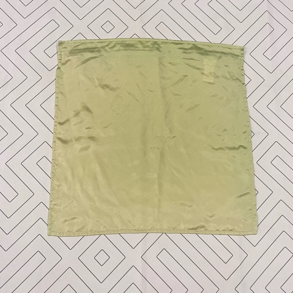 NWT West Elm Silk Square Pillow Case